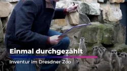 Einmal durchgezählt - Zoo Dresden macht Inventur I Sachsen Fernsehen