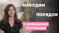 Дети ухаживают за питомцами? Теперь это легко! Организуем пространство вместе Дети ухаживают за питомцами? Теперь это легко! Организуем пространство вместе