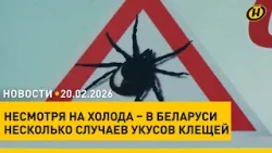 Телефонный разговор Лукашенко и Путина/ определены сроки поступления в вузы Беларуси/ живучие клещи