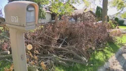 Cleanup continues in south suburbs 2 months after storms as State Farm raises rates