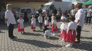 Birkapörkölt, friss must és sok óvodás volt a piacon