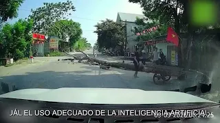 TRAGEDY ON THE ROAD 🚨🌳