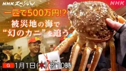 【NHKスペシャル】幻のカニ “輝” (かがやき) を追え ~能登・再起の海~ | NHK 【NHKスペシャル】幻のカニ “輝” (かがやき) を追え ~能登・再起の海~ | NHK