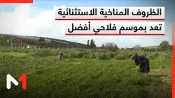 الظروف المناخية الاستثنائية تبشر بموسم فلاحي أفضل الظروف المناخية الاستثنائية تبشر بموسم فلاحي أفضل