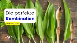 Horsetail, Wild Garlic, Cilantro: The Power of Wild Herbs | Specialist Peter Emmrich | QS24 Panel
