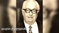 დავით ტვილდიანი დავით ტვილდიანი