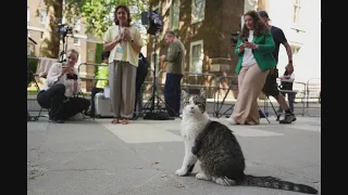 Larry the Cat: Britain's unofficial first feline to serve under 7th prime minister