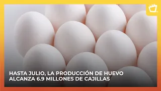 "Love Eggs" support food security for rural families
