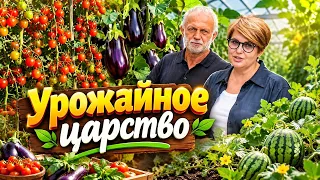 Как вырастить арбузы на Витебщине? | Удачи на даче