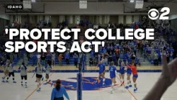 Senate passes bipartisan Protect College Sports Act: How it impacts Boise State athletes