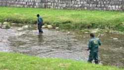 Kryetari Totaj, çmon angazhimin e  Drejtorisë së  Shërbimeve Publike