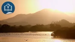 大自然深度游 (8K 超高清制作）第三集 米埔湿地守护者 宣传片