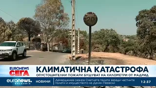 Опустошителни пожари бушуват на километри от Мадрид