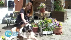 Ortstermin: Neukirchen beim Heiligen Blut (Kurz)