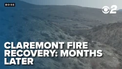 Researchers return to Claremont fire burn scar to track recovery