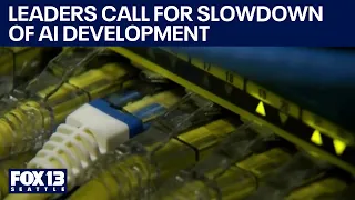 Leaders call for slowdown of AI development | FOX 13 Seattle