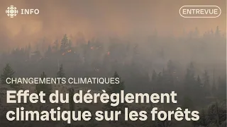 How does climate change affect wildfires?