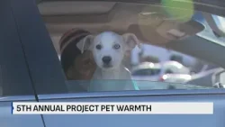 5th annual Project Pet Warmth provides resources to keep pets warm