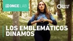 Once Lab - Los emblemáticos Dinamos (21/02/2026)