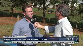 Breeding season: the goal is to guarantee one calf per dam per year