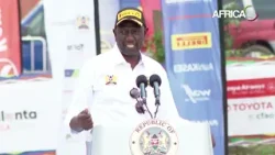 Kenya :  15 milliards d’arbres à planter d’ici 2032