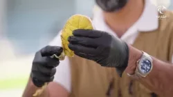 طريقة عمل سمك "جشيد" | برنامج نكهات في الشارقة