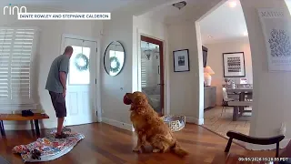 WATCH: Dog greets intruder with toy in San Diego home