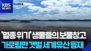 Garorim Bay Tidal Flat, a Treasure Trove for Endangered Species, Named UNESCO World Heritage Site...