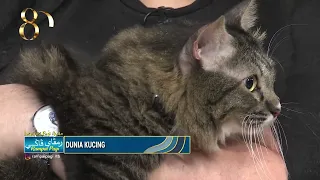 Rampai Pagi 08 Ogos 2026, Wawancara - Dunia Kucing