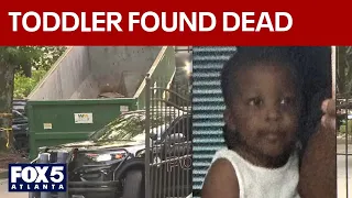 Missing Georgia toddler's body found in woods after search