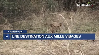 Cameroun : une destination aux milles visages