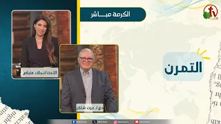 The Practice - Sister Naglaa Metias - Dr. Ezzat Shaker