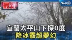 宜蘭太平山下探0度 降冰霰超夢幻｜TVBS新聞 @TVBSNEWS01