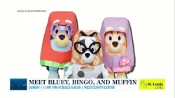 Bluey, Bingo and Muffin in STL