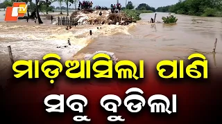 Kani River Breach in Patana | Villages Submerged, Floodwater Enters Homes