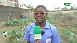 LE JOURNAL  20h00 du Dimanche 08/02/2026 Canal 2 international