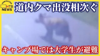 「気配がする」北海道でクマの目撃相次ぐ　歌志内市で子グマ出現、函館市のキャンプ場では大学生が避難