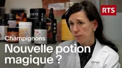 La ruée vers les champignons : que cache cette nouvelle tendance ?  | RTS