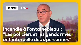 Fontainebleau Fire: Two People Arrested and 1,300 Hectares Burned