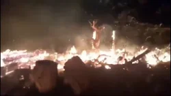 Quisieron quemar una colmena y provocaron un incendio forestal en Pocito