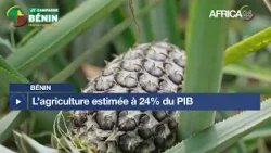 Bénin : l’agriculture représente environ 24% du PIB