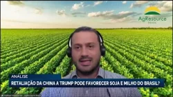 Retaliação da China a Trump pode favorecer soja e milho do Brasil?