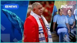 Tonga's baby whale tourism threatened and Israel’s Pacific partnership | The Pacific | ABC NEWS