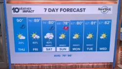 10 Tampa Bay Weather: Thursday forecast; October 15, 2026