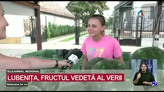 Watermelon harvest is good, but profits are lagging #RegionalNews @TVRTM