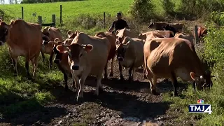 Walworth County dairy farmer specializing in raw milk says state is unfairly fining his business