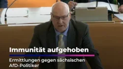 Immunität aufgehoben - Ermittlungen gegen sächsischen AfD-Politiker