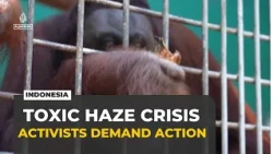 Indonesia wildfires: Activists sue government over toxic haze