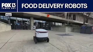 This Florida city is considering food delivery robots