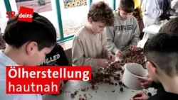 Walnüsse, Raps & jede Menge Arbeit – Grundschüler stellen selber Öl her Walnüsse, Raps & jede Menge Arbeit – Grundschüler stellen selber Öl her